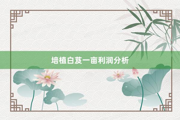 培植白芨一亩利润分析
