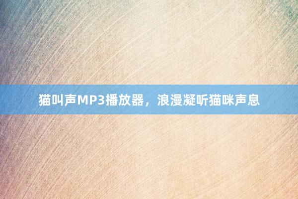 猫叫声MP3播放器，浪漫凝听猫咪声息