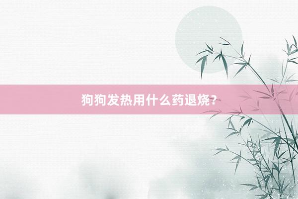 狗狗发热用什么药退烧？